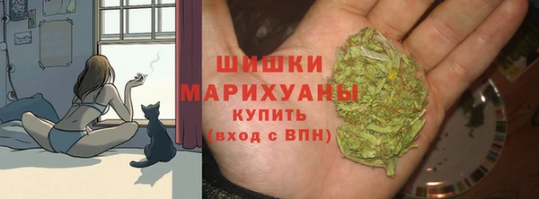 стафф Богородск