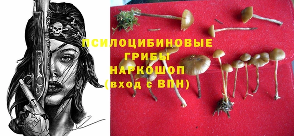 первитин Богданович