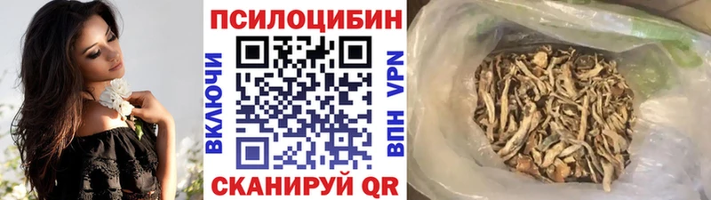 закладка  Сланцы  MEGA ТОР  Псилоцибиновые грибы Magic Shrooms 
